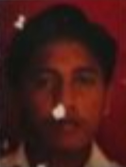 DANDI